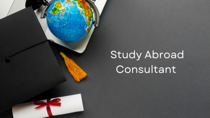 Is It a Good Idea to Hire Abroad Education Consultants?